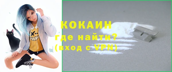 ешки Вяземский