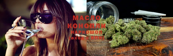 гидра Вязники